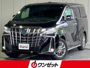 2019 TOYOTA ALPHARD HYBRID EXECUTIVE LOUNGE S