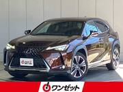2021 LEXUS UX