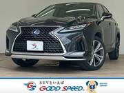 2019 LEXUS RX