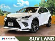 2019 LEXUS NX