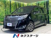 2017 TOYOTA ESQUIRE Gi