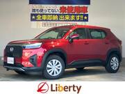2025 HONDA OTHER