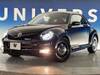VOLKSWAGEN THE BEETLE