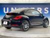 VOLKSWAGEN THE BEETLE
