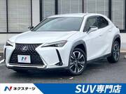 2020 LEXUS UX