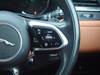 JAGUAR OTHER
