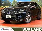2014 LEXUS NX