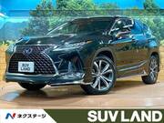 2019 LEXUS RX
