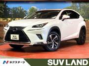 2017 LEXUS NX