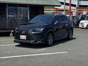 2019 LEXUS NX