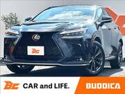 2022 LEXUS NX