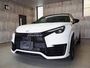 2025 LEXUS OTHER