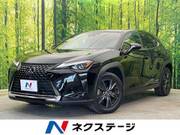 2019 LEXUS UX