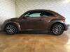 VOLKSWAGEN THE BEETLE