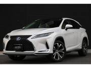2019 LEXUS RX