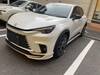 LEXUS OTHER