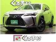 2020 LEXUS UX