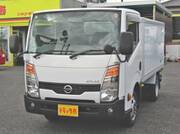 2019 NISSAN OTHER