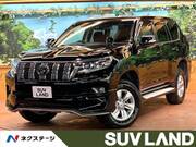 2019 TOYOTA LAND CRUISER PRADO TX
