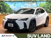 2020 LEXUS UX