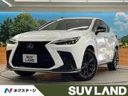 2022 LEXUS NX