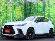 2025 LEXUS NX