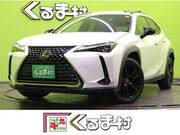 2021 LEXUS UX