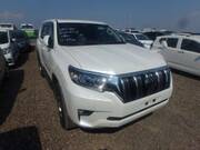 2019 TOYOTA LAND CRUISER PRADO TX