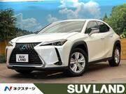 2021 LEXUS UX