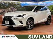2020 LEXUS NX
