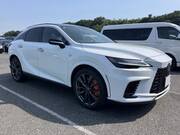 2024 LEXUS RX