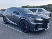 2024 LEXUS RX