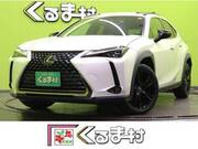 2021 LEXUS UX