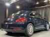 VOLKSWAGEN THE BEETLE