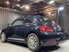 VOLKSWAGEN THE BEETLE