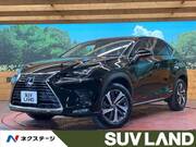 2018 LEXUS NX