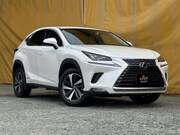 2019 LEXUS NX