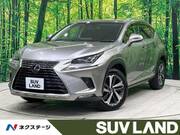 2018 LEXUS NX
