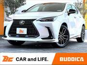 2024 LEXUS NX