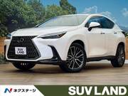 2025 LEXUS NX
