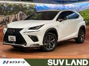 2017 LEXUS NX