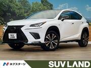 2019 LEXUS NX