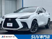 2022 LEXUS NX