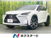 2014 LEXUS NX