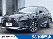 2019 LEXUS NX