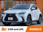 2023 LEXUS NX
