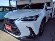 2023 LEXUS NX
