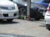 BMW OTHER