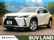 2019 LEXUS UX