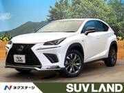 2019 LEXUS NX